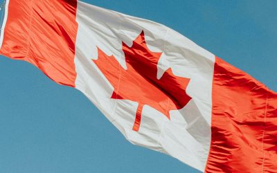 The Ripple Effect of Trump’s Tariffs on the Canadian Grocery Industry