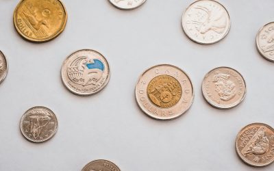 Is Loblaws Really Out of Control? And What Can You Do About It?