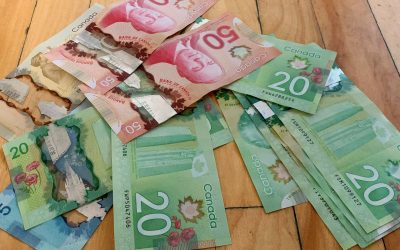 The Psychology of Saving: Why Finding Deals Feels So Good